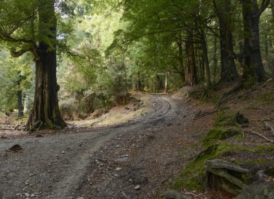 Glenorchy, Otago