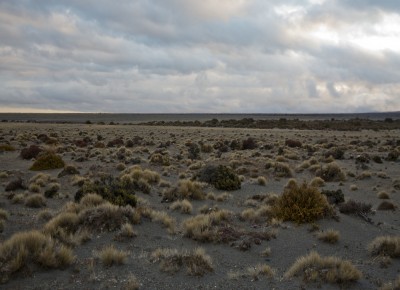 Tukino, Waikato