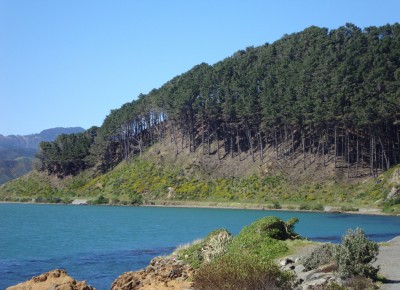 Miramar Peninsula, Wellington