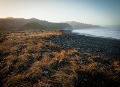 Palliser Coastline, Wellington