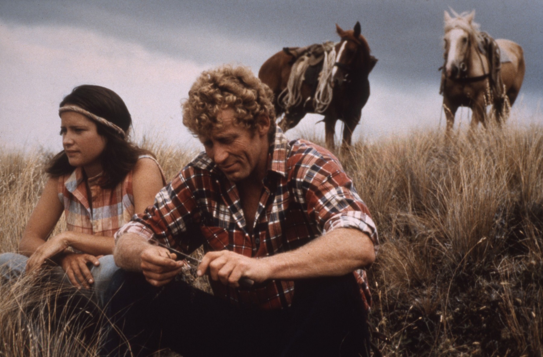 Wild Horses