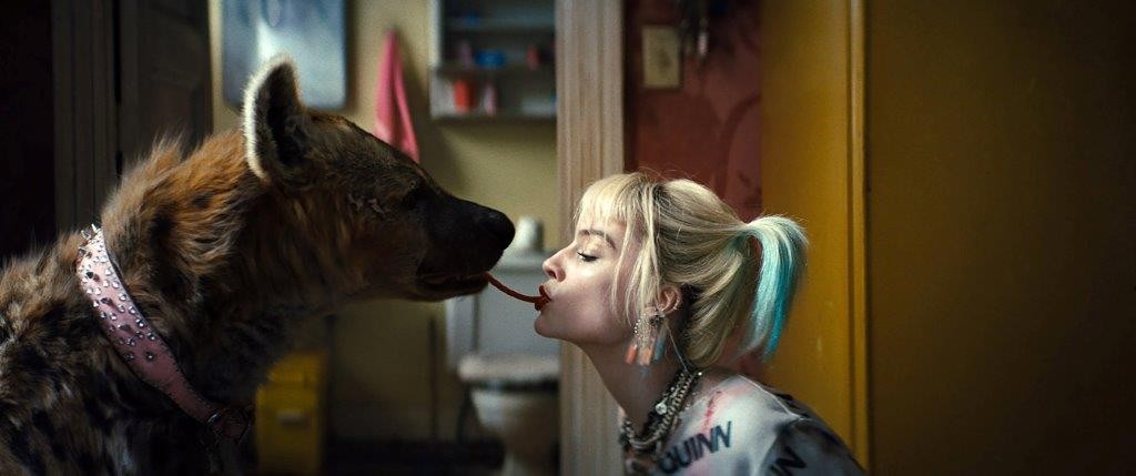 Birds Of Prey